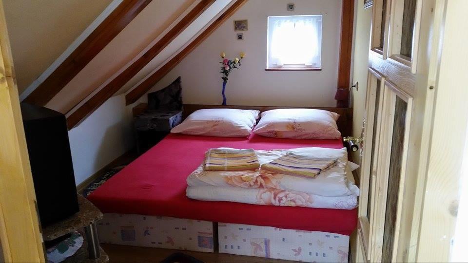 U Vlasty Homestay *